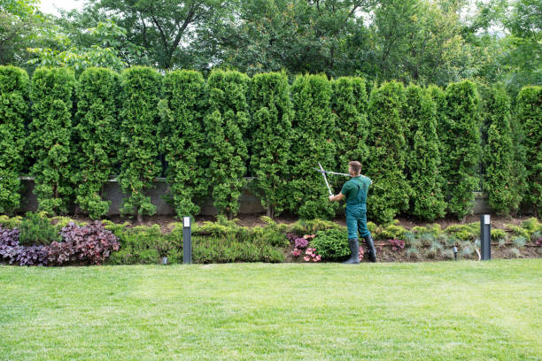 Best Mulching Services  in Waynesboro, TN