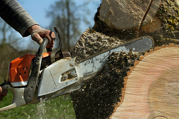 Mulching Services in Waynesboro, TN